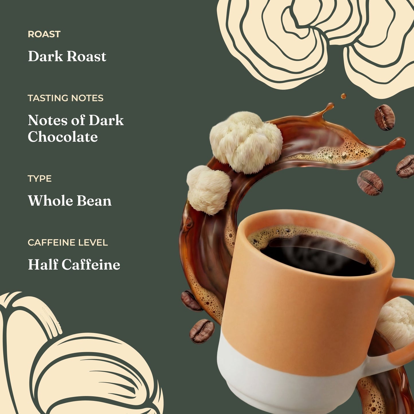 focus-half-caf-whole-bean-coffee-h2 Taste_-_Focus_Half_Caf_Whole_Bean_d1d02c35-db99-498e-ac43-813730db6953.jpg
