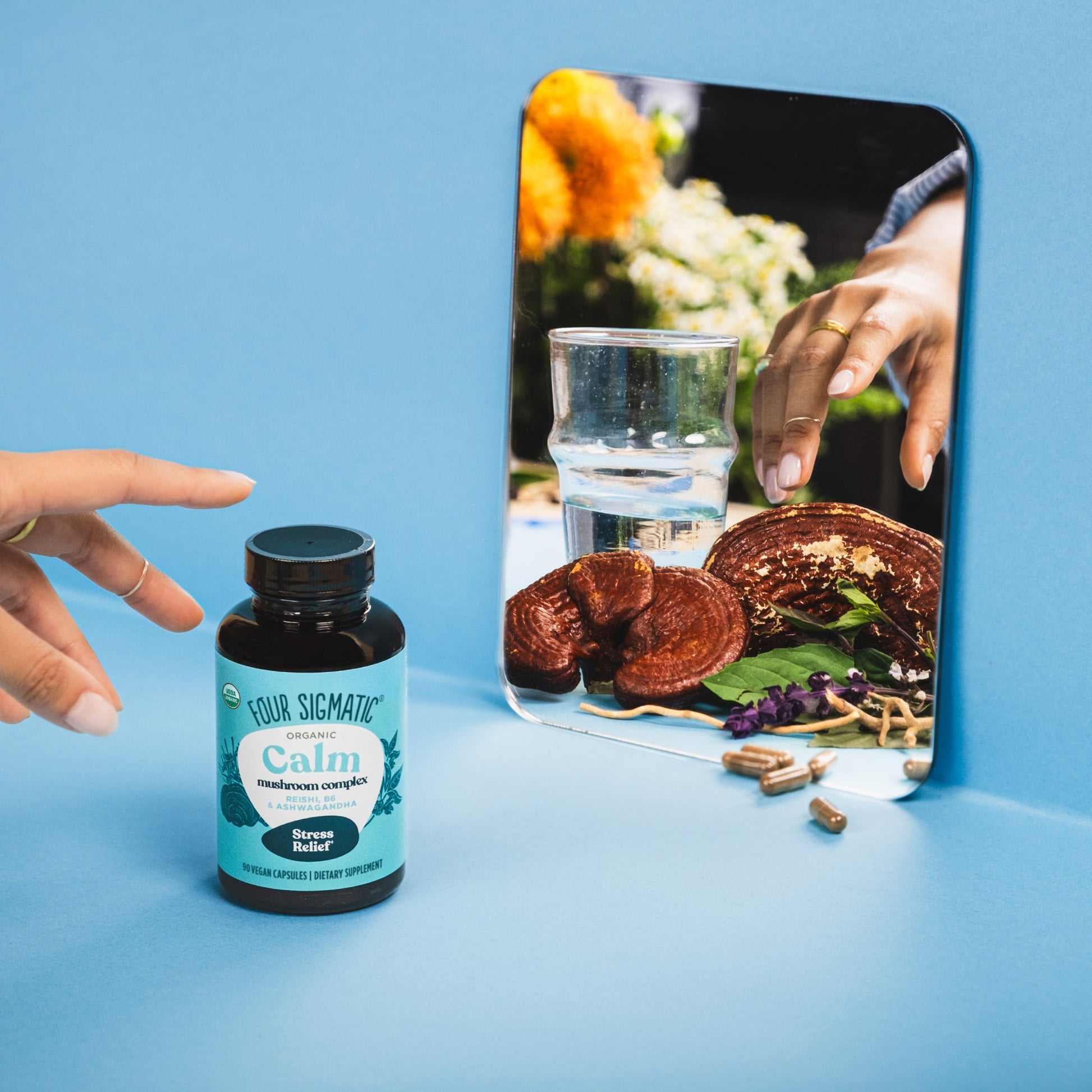 calm-capsules-m6 calm-capsule-1.jpg